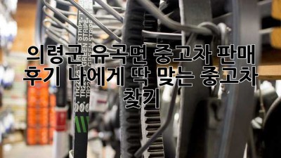 의령군 유곡면 중고차 판매 후기: 나에게 딱 맞는 중고차 찾기!