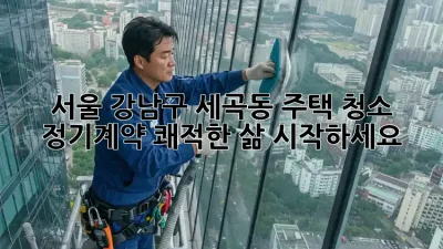 서울 강남구 세곡동 주택 청소 정기계약: 쾌적한 삶, 시작하세요! ✨