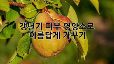 갱년기 피부, 영양소로 아름답게 가꾸기